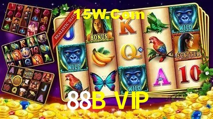 Promoção Relâmpago 88B VIP